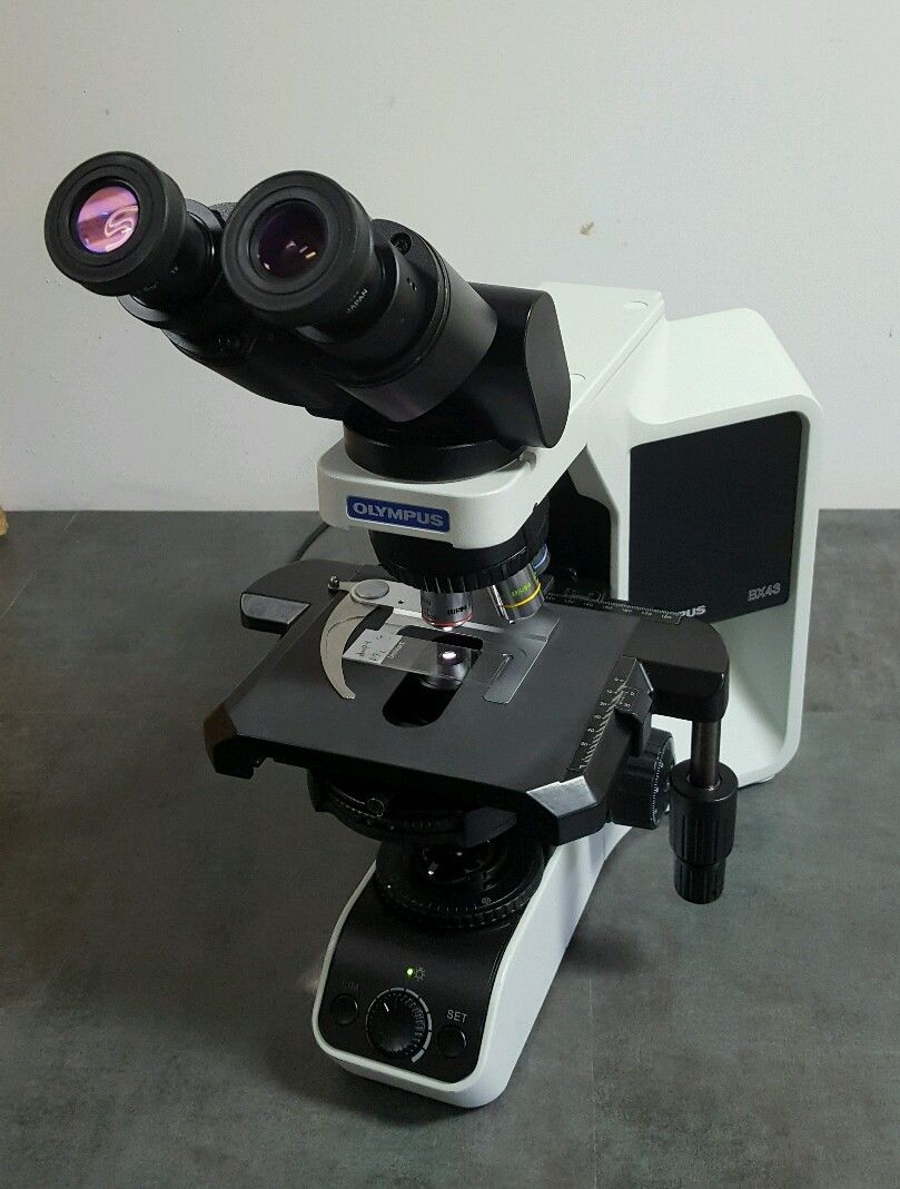 Olympus Microscope BX43 Phase Contrast | NC | SC | VA | MD