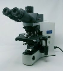 Olympus Microscope BX41 Dualhead | Pathology