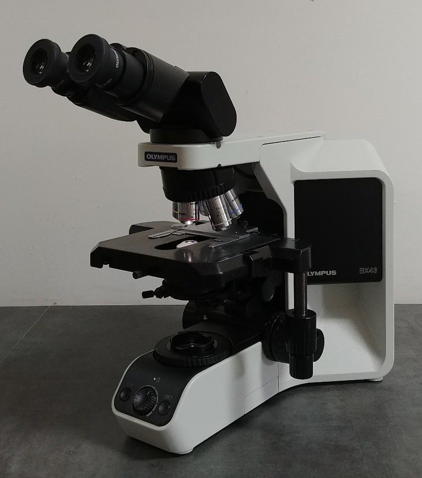 Olympus Microscope BX43 - Certified Refurbished for Pathology