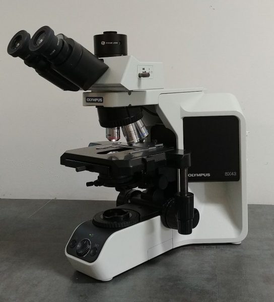 Olympus Microscope BX43 with 2X Objective and Trinocular Head | NC | SC ...