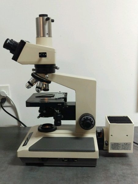 Olympus Microscope BH-2 BH2 with Superwide Trinocular Head for ...
