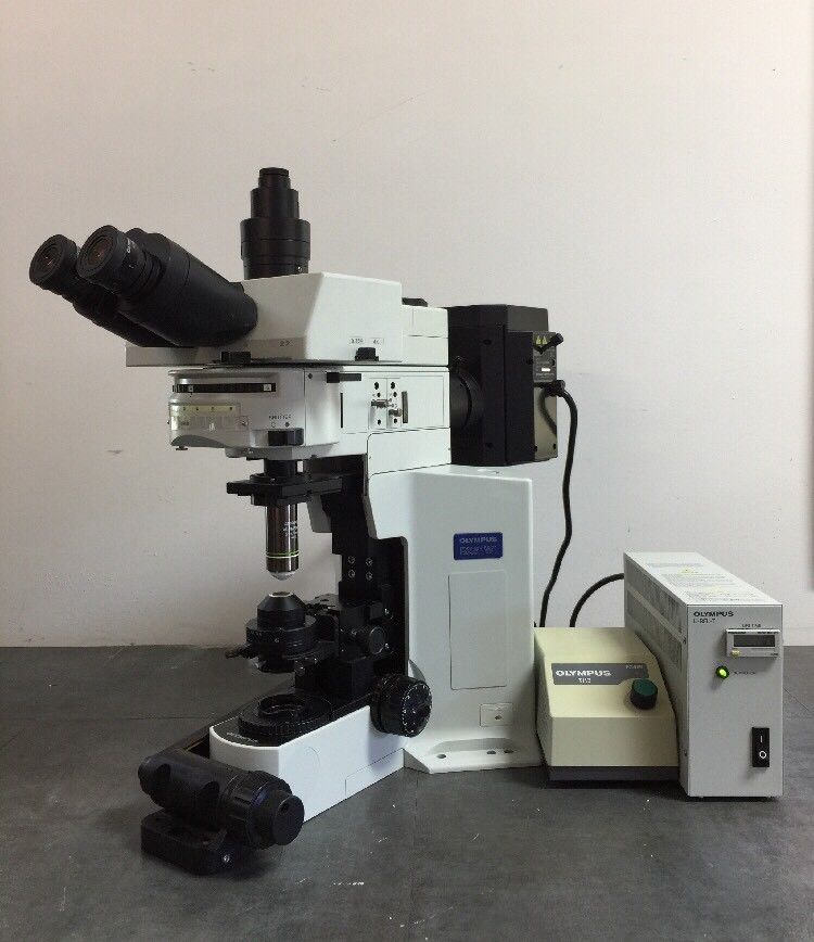 Olympus Microscope BX51WI Water Immersion and Fluorescence ...