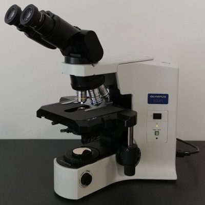 BX41 | Clinical Pathology Microscope