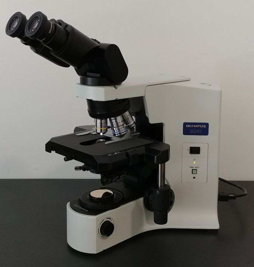 Olympus BX41 Microscope for Hematology with 50X oil objective