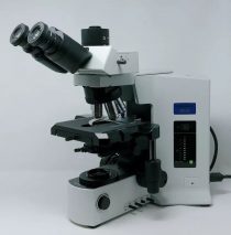 Used Olympus BX51 Microscope for Pathology