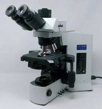 Refurbished Olympus BX51 Microscope | Phase Contrast