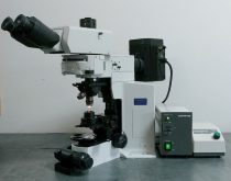 Olympus Microscope BX51WI | Water Immersion