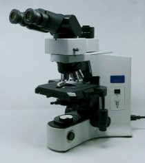 Olympus BX41 | Used Pathology microscope