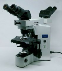 Olympus Microscope BX41 | Dualhead | Pathology