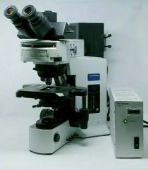 Olympus Microscope Fluorescence | BX51 | Mercury