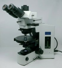Olympus Microscope BX51 | POL