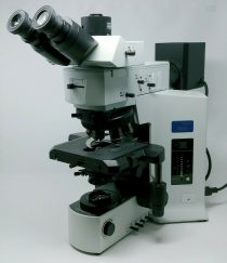 Olympus Microscope BX51 | POL
