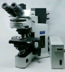 BX51 | Olympus Microscope Fluorescence