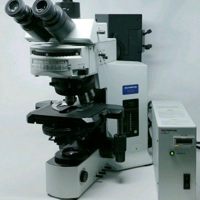 BX51 | Olympus Microscope Fluorescence