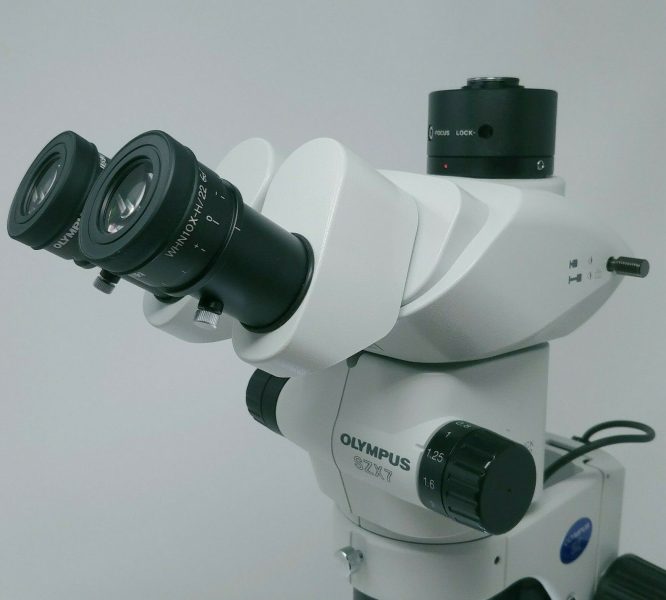 Olympus Microscope SZX7 Stereozoom with Transmitted and Reflected 