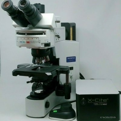 BX41 | Refurbished Olympus microscope | Fluorescence