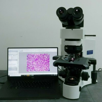 BX41 Olympus Microscope Fluorite | Pathology