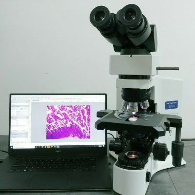 Olympus Microscope BX41 with camera