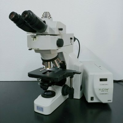 Nikon Microscope E400 | Fluorescence