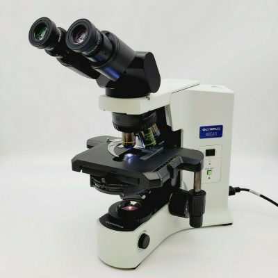 Olympus Microscope BX41 | Phase Contrast | Fluorite Objectives