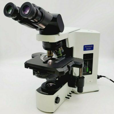 Olympus Microscope BX51 | Phase Microscope | Trinocular
