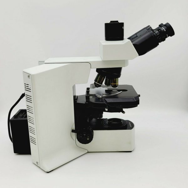 Olympus BX51 Microscope with Fluorite Phase Contrast Objectives