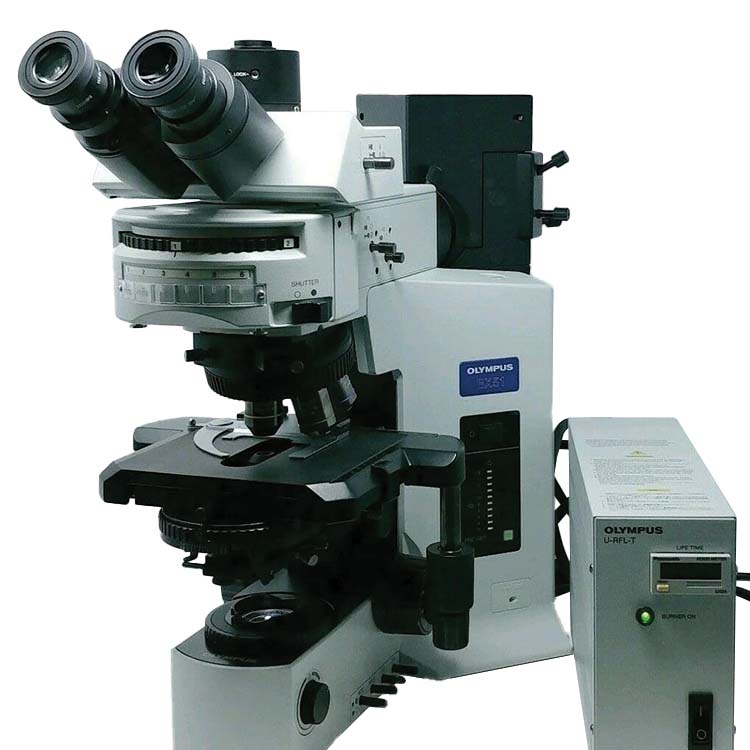 Fluorescence Microscopes