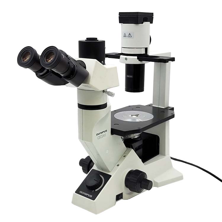 Inverted Microscopes