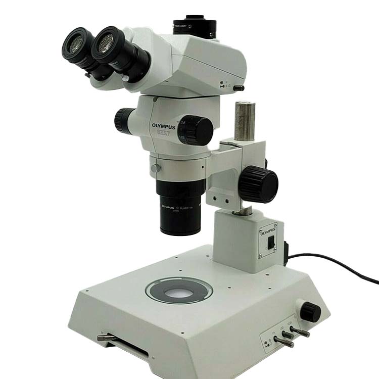 Stereo Microscopes