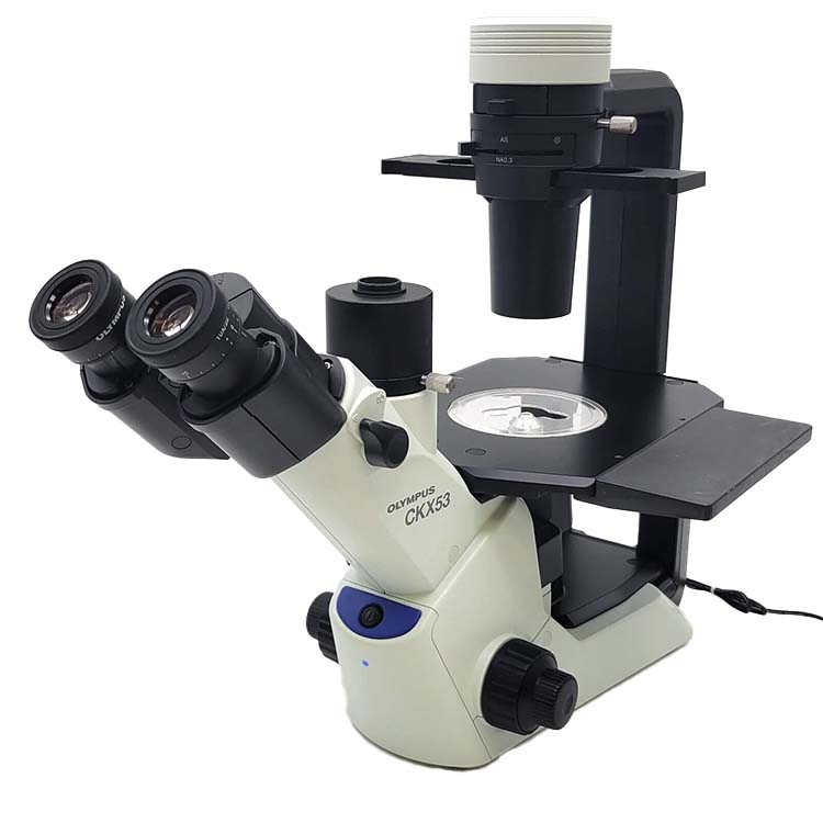 Tissue Culture Microscopes