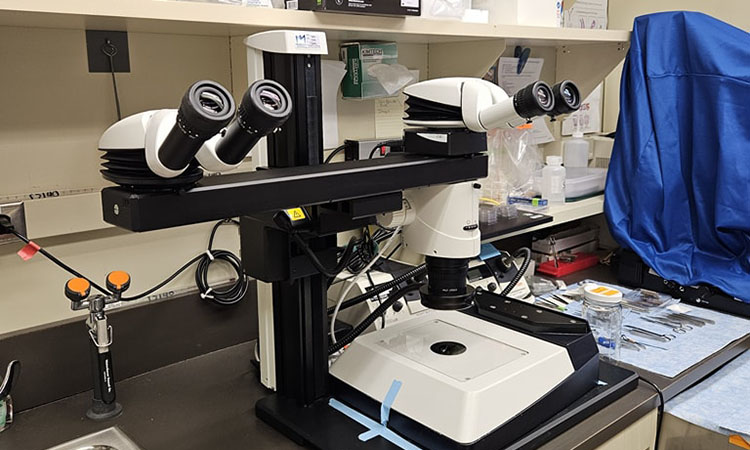 Microscope on table and ready for maintenance