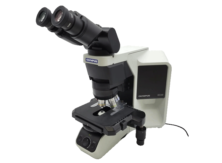 BX46 Olympus Microscope