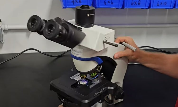 How to use the Olympus CX43 Microscope