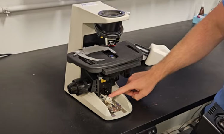 Nikon E200 Microscope Overview