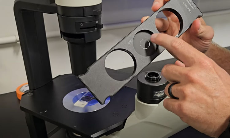 Olympus CKX53 Breakdown | Tissue Culture Microscope with Phase Contrast