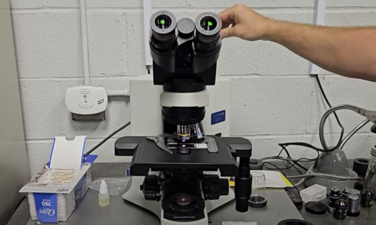 Olympus BX41 Microscope: Add Polarizer, and Gout Analyzer