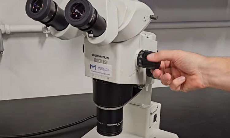 How to Set the Click Stop on Olympus SZX Microscopes