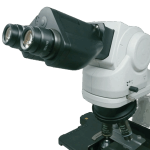 Nikon Ci-L Viewing Head