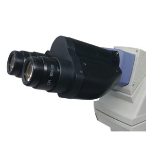 Nikon E400 Microscope Viewport
