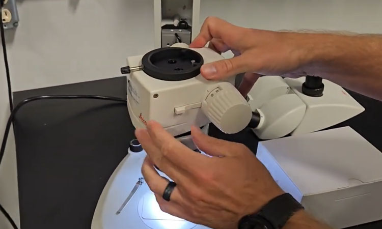 Leica M80 Microscope Breakdown