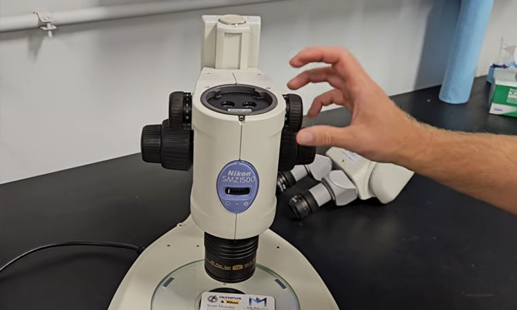 Nikon SMZ1500 Microscope Tutorial