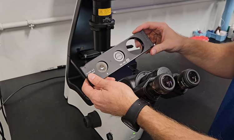 Nikon Ts2 Tissue Culture Microscope Assembly & Pro Tips