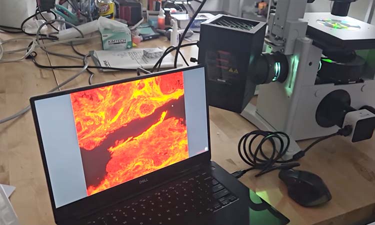 Parfocal a Camera on the Olympus IX71