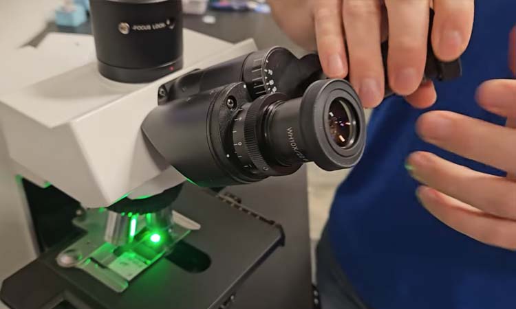 Olympus BX51 Phase Contrast Explained Simply