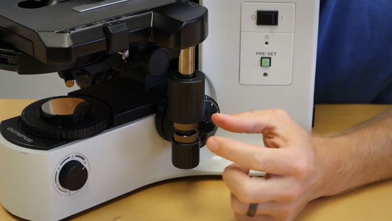 Adjust the Tension on a BX Microscope Stage
