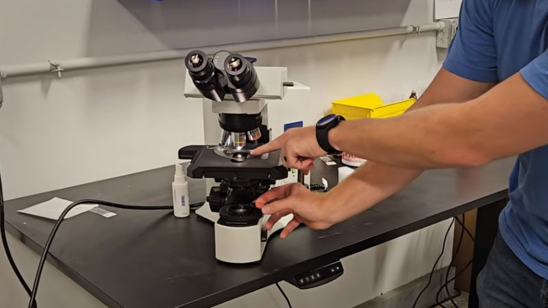 Where does the blue filter go on a microscope?